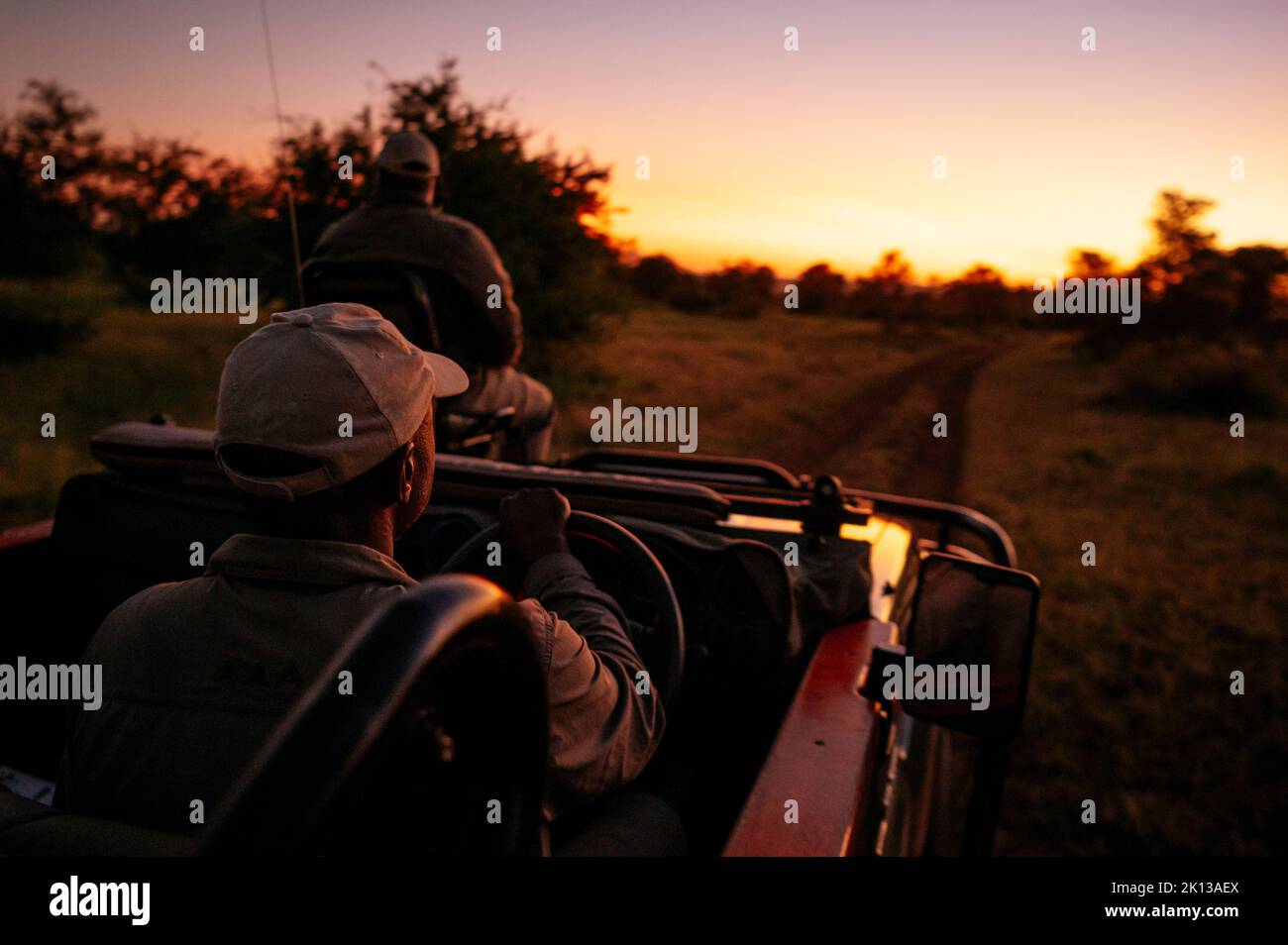 Safari-Fahrt im Timbavati Private Nature Reserve, Krüger National Park, Südafrika, Afrika Stockfoto