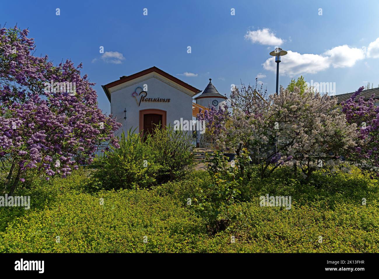 Pavillon, Pegelhäusje, Fliederbusch, Fliederblüte, Fluß, Rhein , Pegelhaus Worms *** Ortsüberschrift *** Europa, Deutschland, Rheinland-Pfalz, Worms, Stockfoto