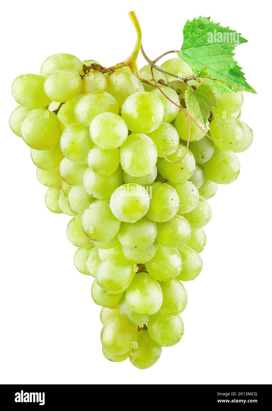 Trauben aus grünen (gelben) Trauben mit einem Traubenblatt, isoliert auf weißem Hintergrund. Es gibt einen Beschneidungspfad. Stockfoto
