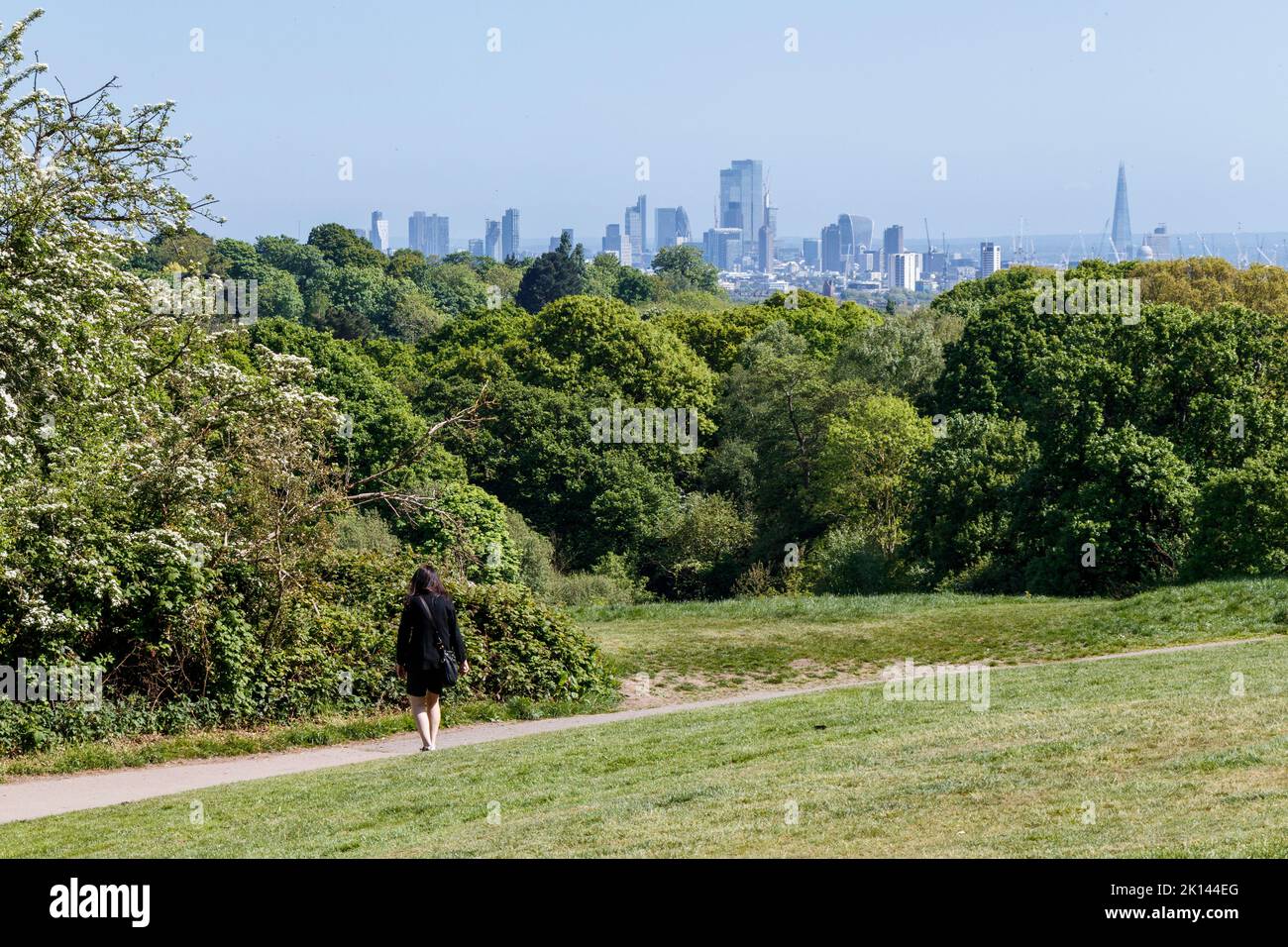 Blick auf die City of London von Hampstead Heath, London, Großbritannien Stockfoto