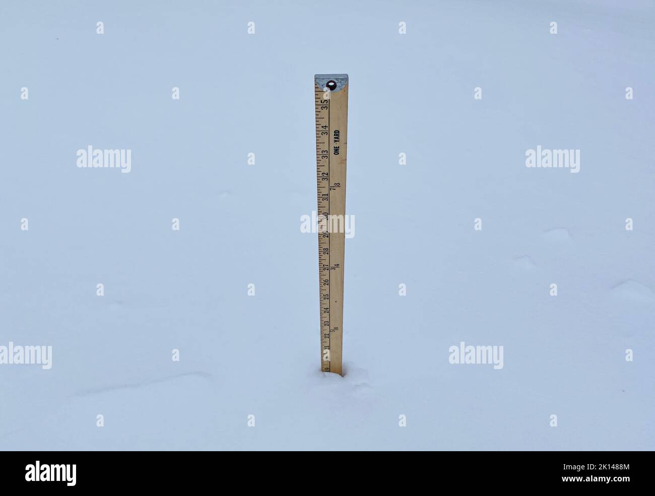 Der Hof steckt in 19 cm Schnee und zeigt, wie viel Schnee nach einem Schneesturm auf dem Boden liegt. Stockfoto