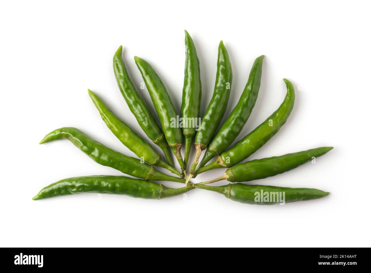 Grüne Chilis auf weißem Hintergrund angeordnet, gemeinsame Gemüse für ihren würzigen Geschmack verwendet Stockfoto