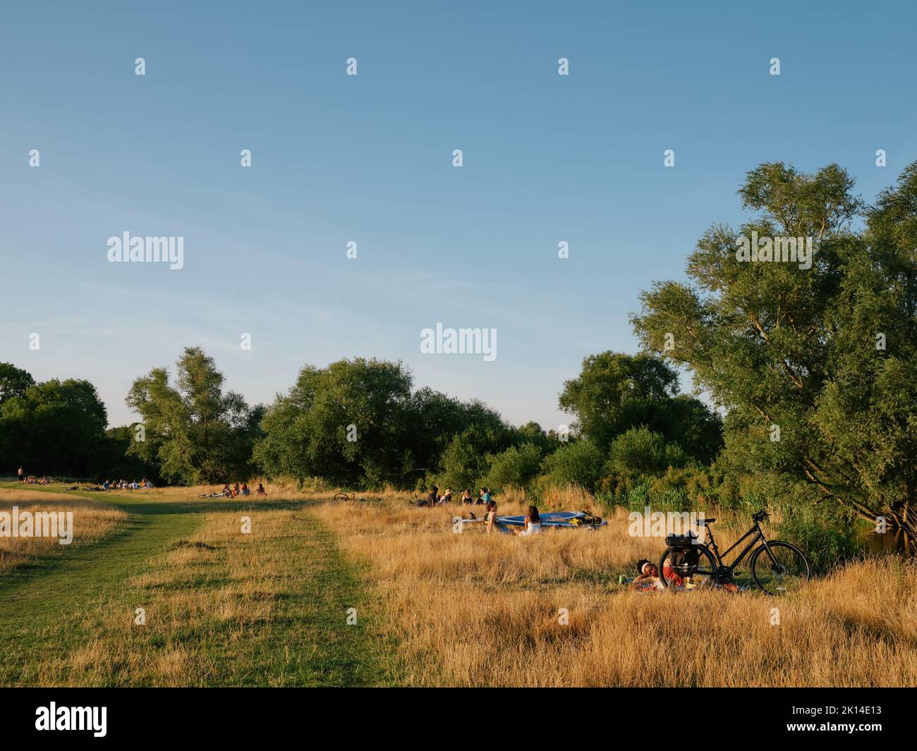 Sommerleben und Abendlicht auf den Grantchester Meadows am Fluss Cam in Cambridge Cambridgeshire England Großbritannien - Sommerliches Landleben Stockfoto