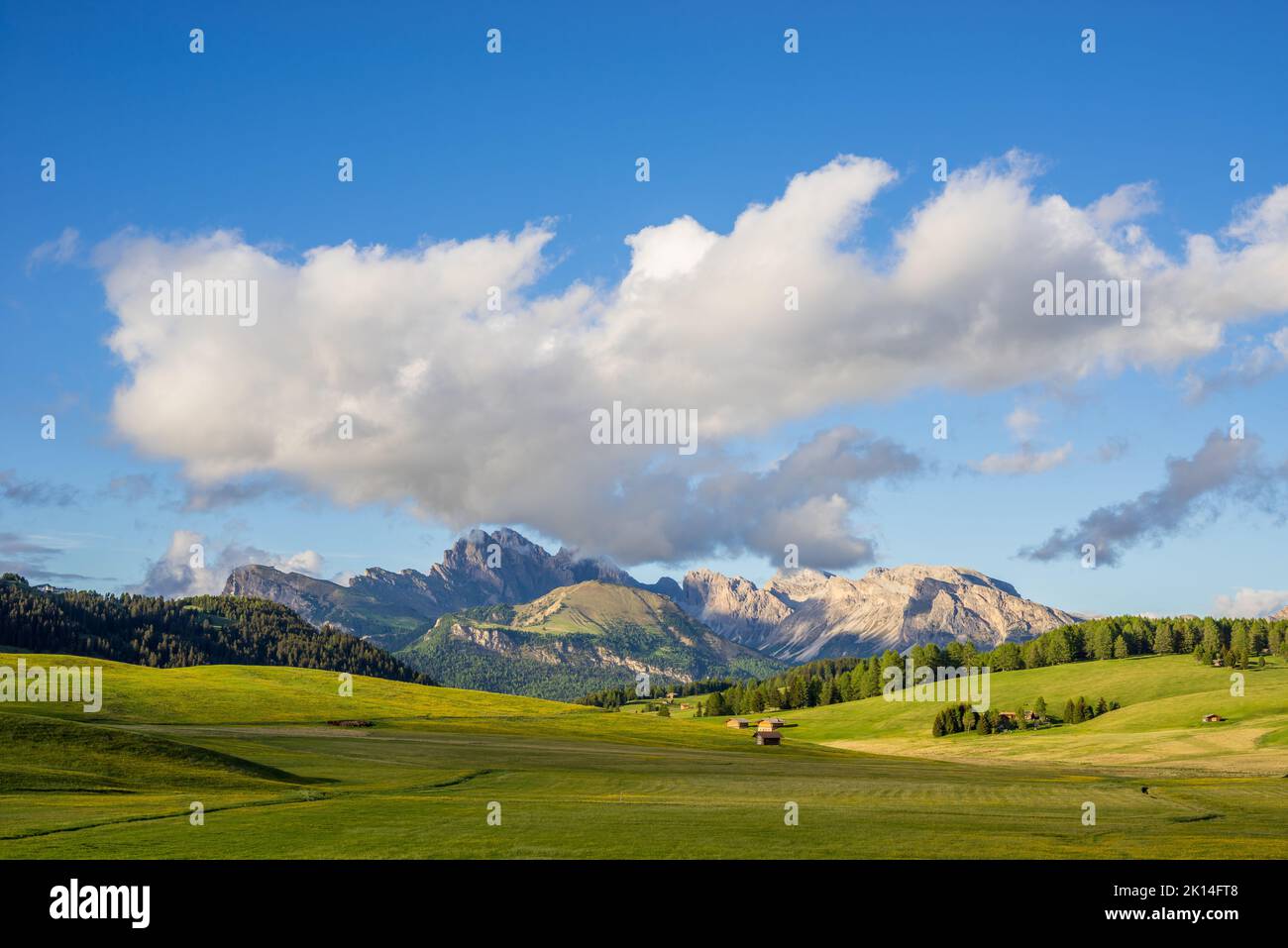 Mt. Langkofel bei Sonnenuntergang, Blick von der Seiser Alm, Dolomiten, Italien Stockfoto
