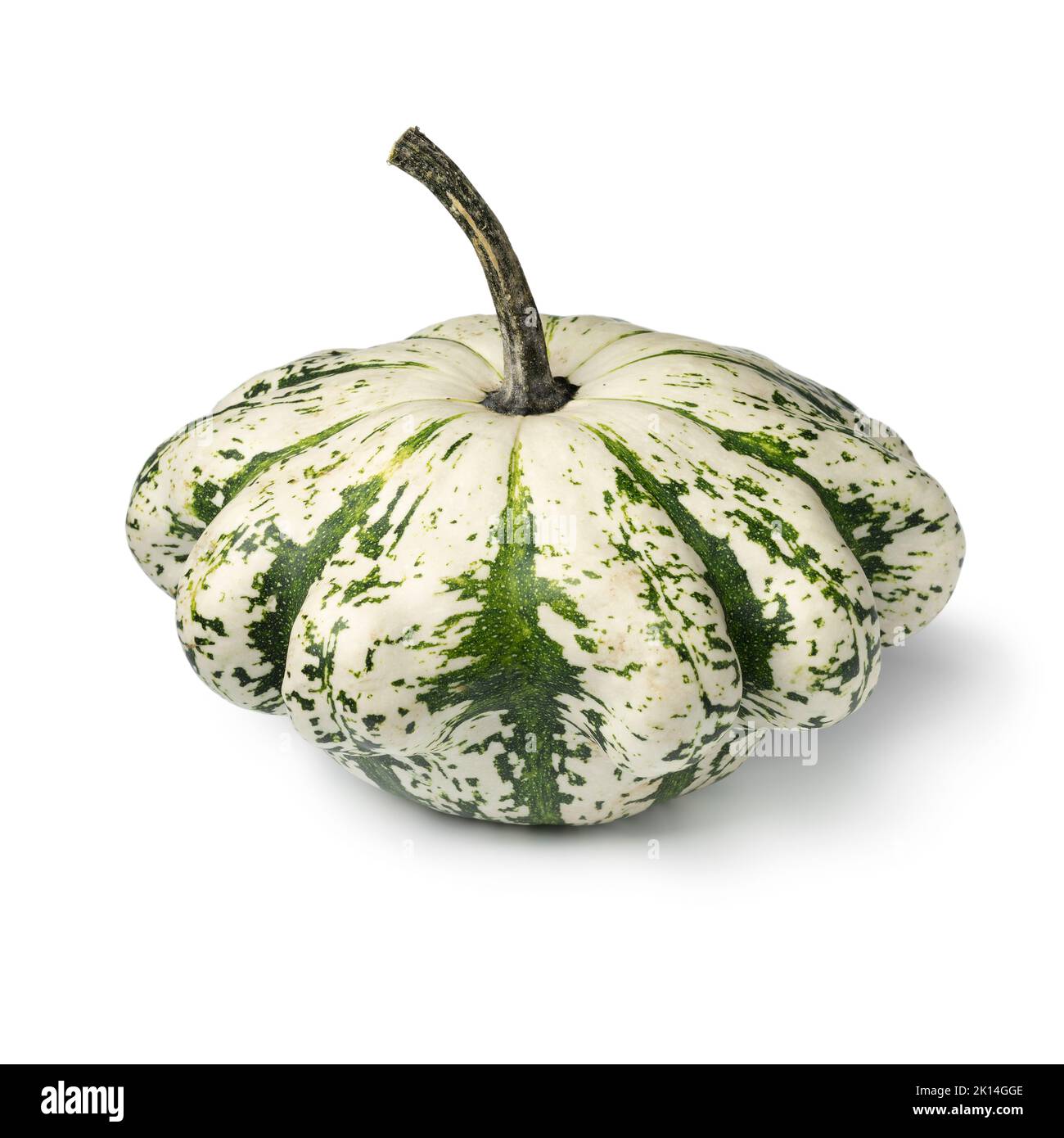Pattypan Squash, Cucurbita pepo Frucht, weiße grüne Scheibe Sorte, isoliert auf weißem Hintergrund Stockfoto