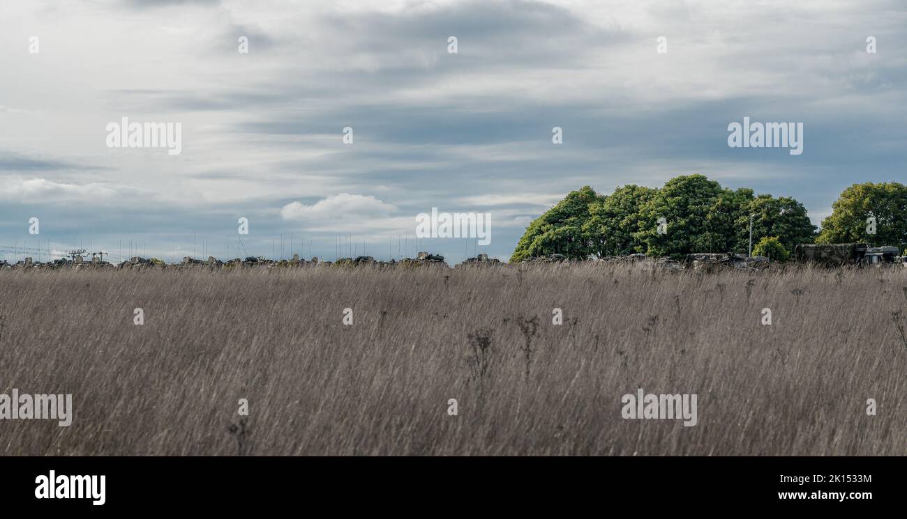 Reihen von Foxhound-Leichtschutz-Patrouillenfahrzeugen der britischen Armee warten auf den Einsatz bei einer militärischen Übung Stockfoto