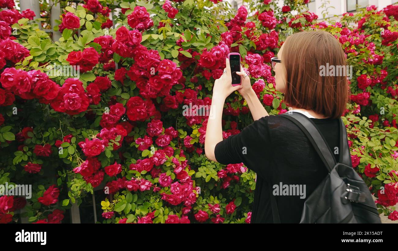 Junge kaukasische Frauen in einer Brille, die eine rote Rose fotografiert. Stockfoto