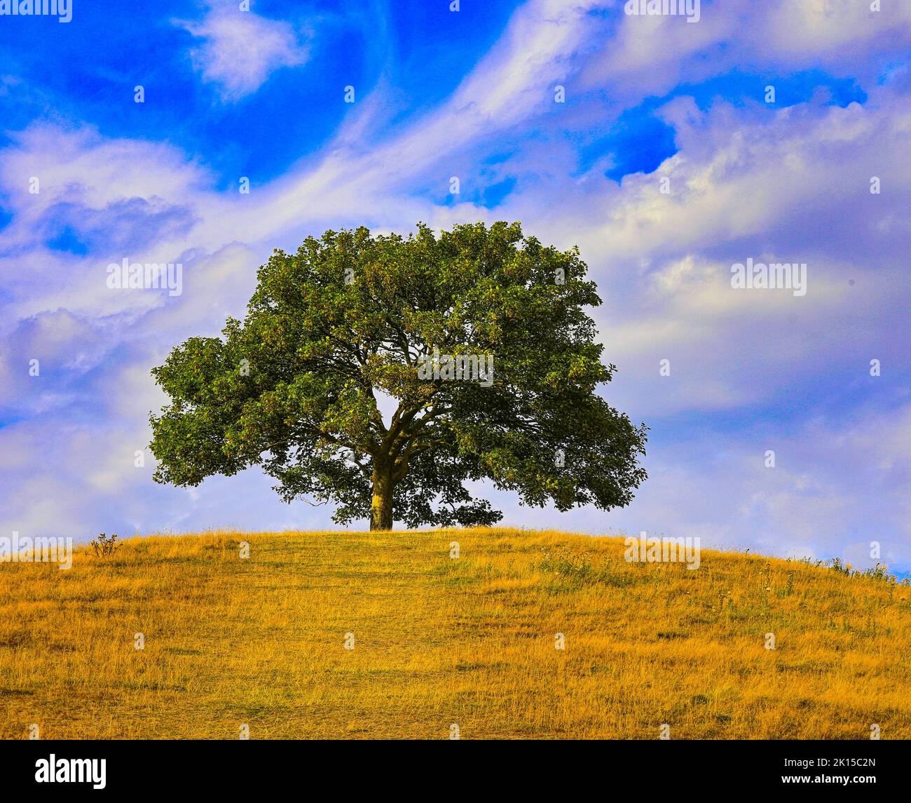 Somerset England Burrow Hill Stockfoto