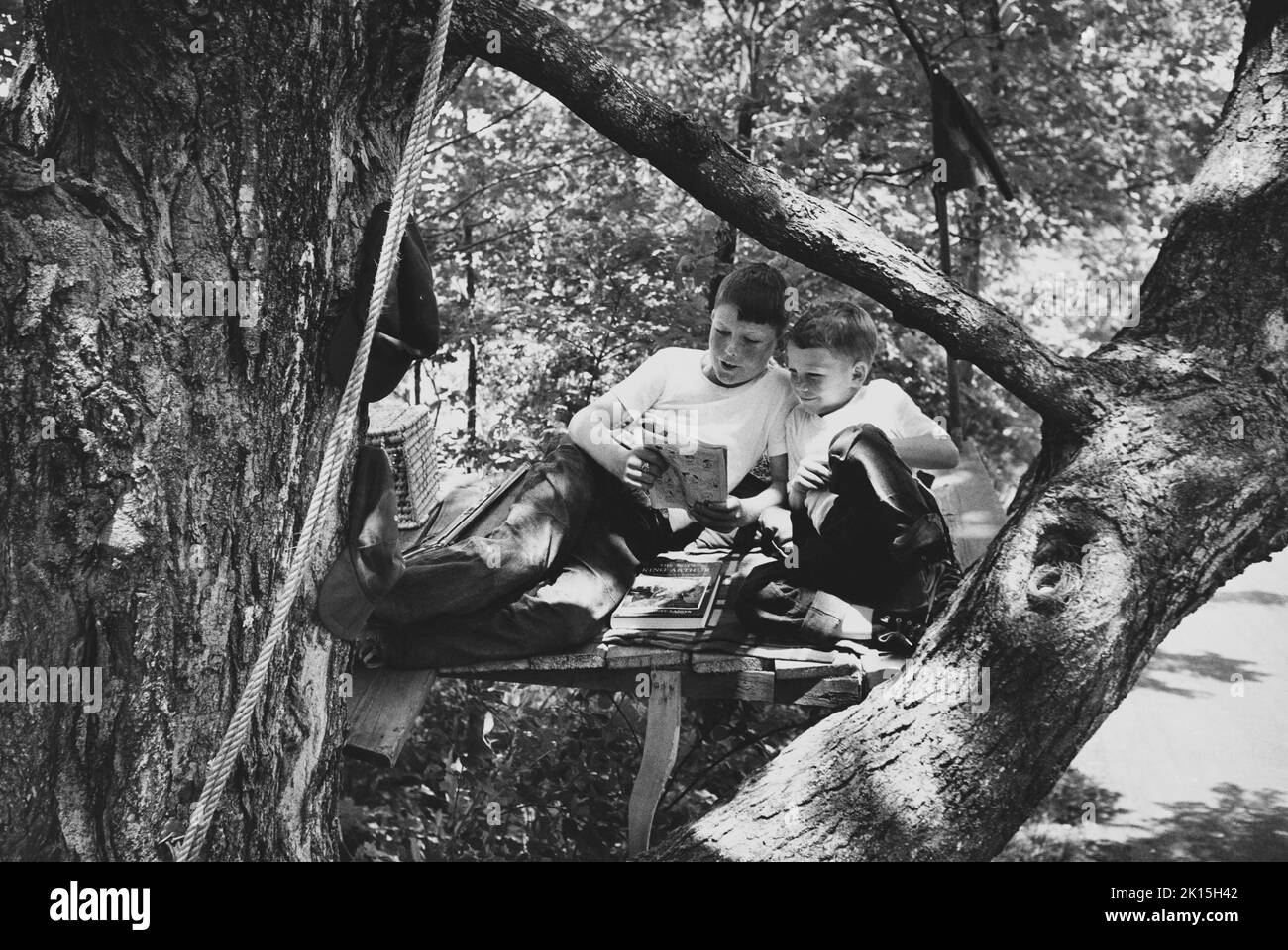 Zwei Brüder teilen die Freude, ein Comic zu lesen, während sie in ihrer Baumfestung abhängen. Auf dem Boden der Festung ist eine Hardcover-Kopie von König Arthur zu sehen. Stockfoto