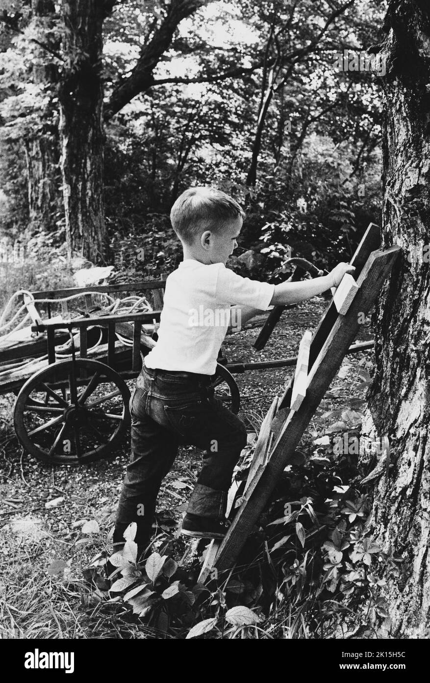 Das Foto ist mit der Aufschrift: 'Der letzte Nagel geht in die Leiter.' Ein kleiner Junge legt den letzten Schliff auf seine Baumfestung. Stockfoto