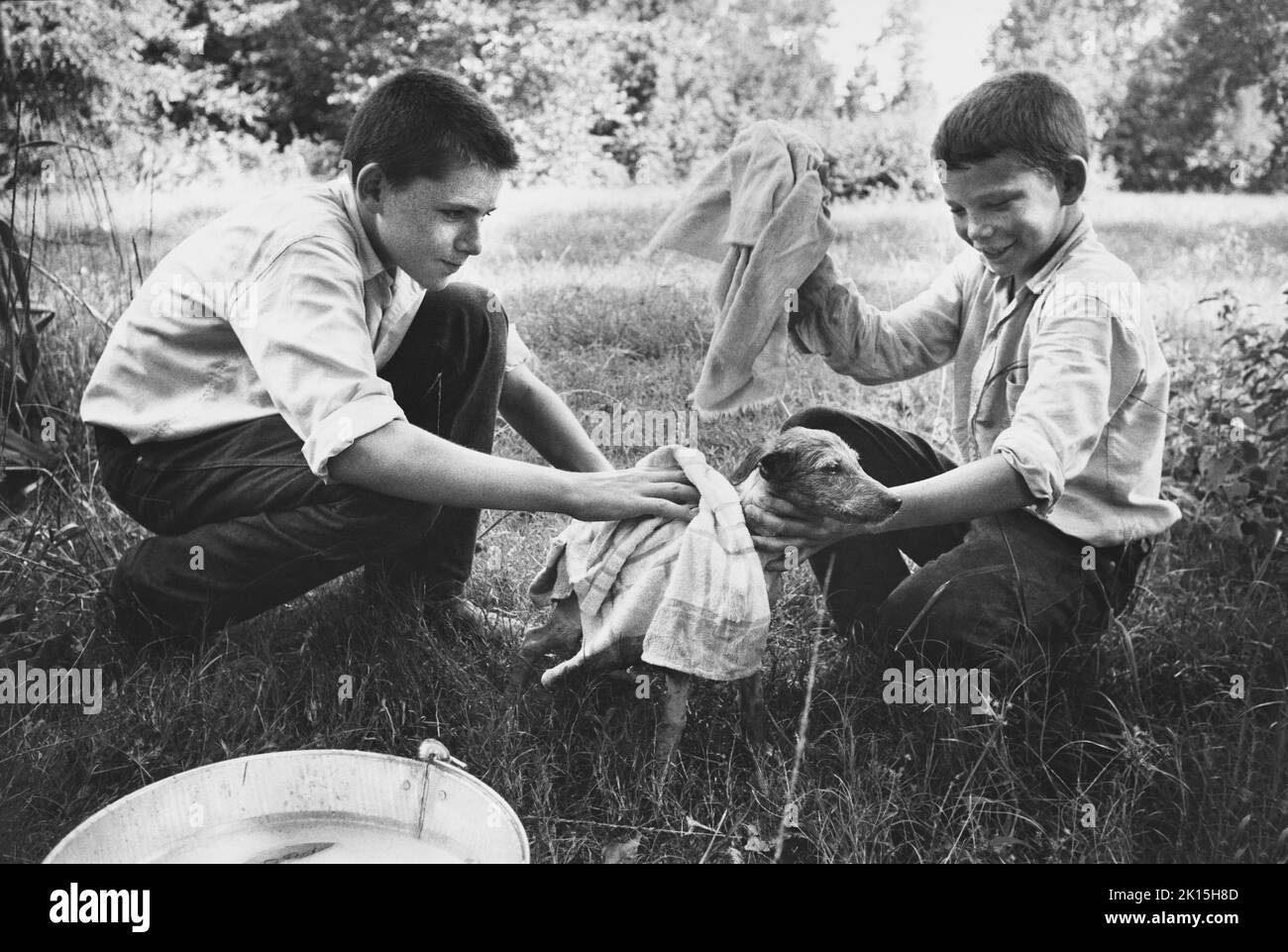 Die Brüder geben ihrem Mischlingshund ein Bad. Texas, um 1960. Stockfoto