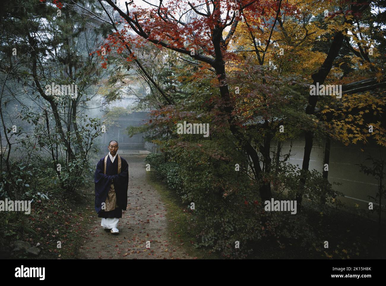 Buddhistischer Priester, der im Tempelgarten spazieren geht. Kyoto, Japan. Stockfoto