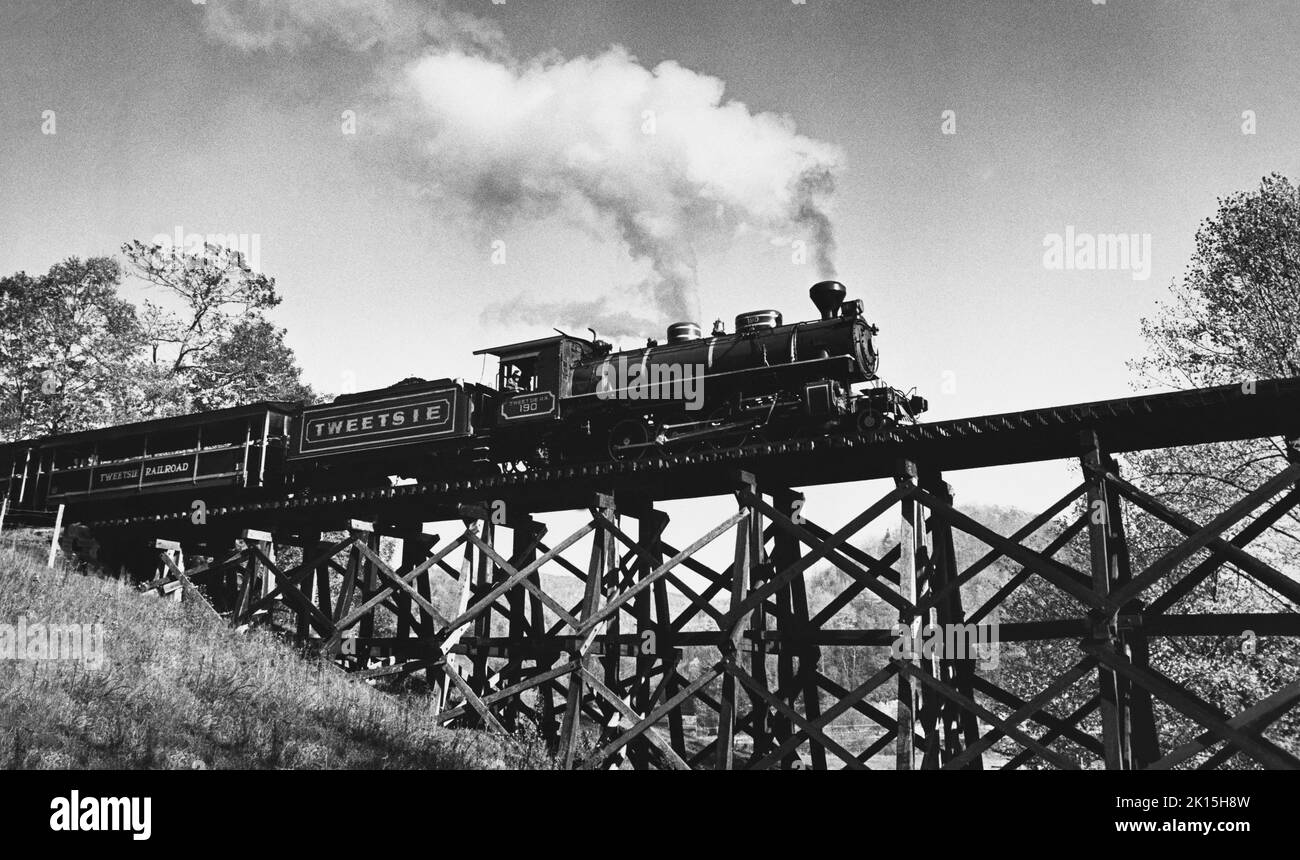 „Tweetsie“-Zug aus Appalachia-Buch. Die East Tennessee and Western North Carolina Railroad (Melderzeichen ETWN), liebevoll als „Tweetsie“ bezeichnet in Bezug auf das Geräusch ihrer Dampfpfeifen, war in erster Linie eine 3 Fuß (Schmalspurbahn) Eisenbahn, die 1866 gegründet wurde, um die Minen in Cranberry, North Carolina, zu bedienen. Der Schmalspurabschnitt des ET&WNC wurde 1950 aufgegeben, jedoch besteht das 11 Meilen (4 Fuß) lange 8 1/2-Zoll-Segment (Standardspur) der Strecke von Johnson City nach Elizabethton, Tennessee, noch heute als East Tennessee Railway. Stockfoto