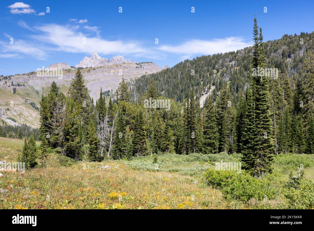 Der Grand Teton, der hoch über dem Death Canyon und den Teton Mountains aufsteigt. Grand Teton National Park, Wyoming Stockfoto