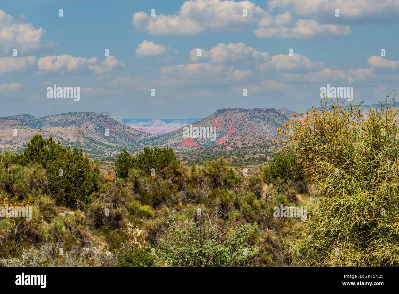 Blick auf niedrige Berge und Mesas mit einheimischem Laub in New Mexico, USA. Stockfoto