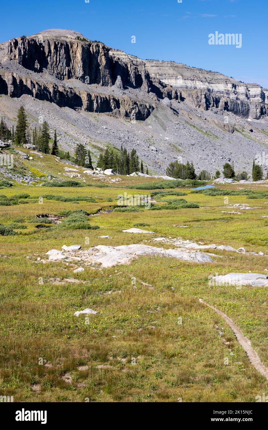 Der South Teton Trail führt durch alpines Gelände in das Alaska Basin. Jedediah Smith Wilderness, Wyoming Stockfoto