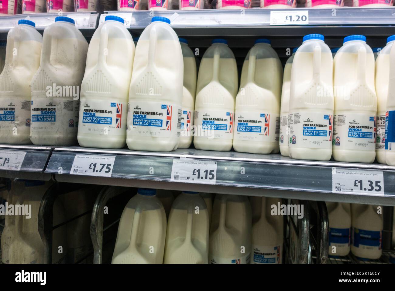 Volle fette Milch für Bauern zum Verkauf im Morrison Supermarkt Stockfoto