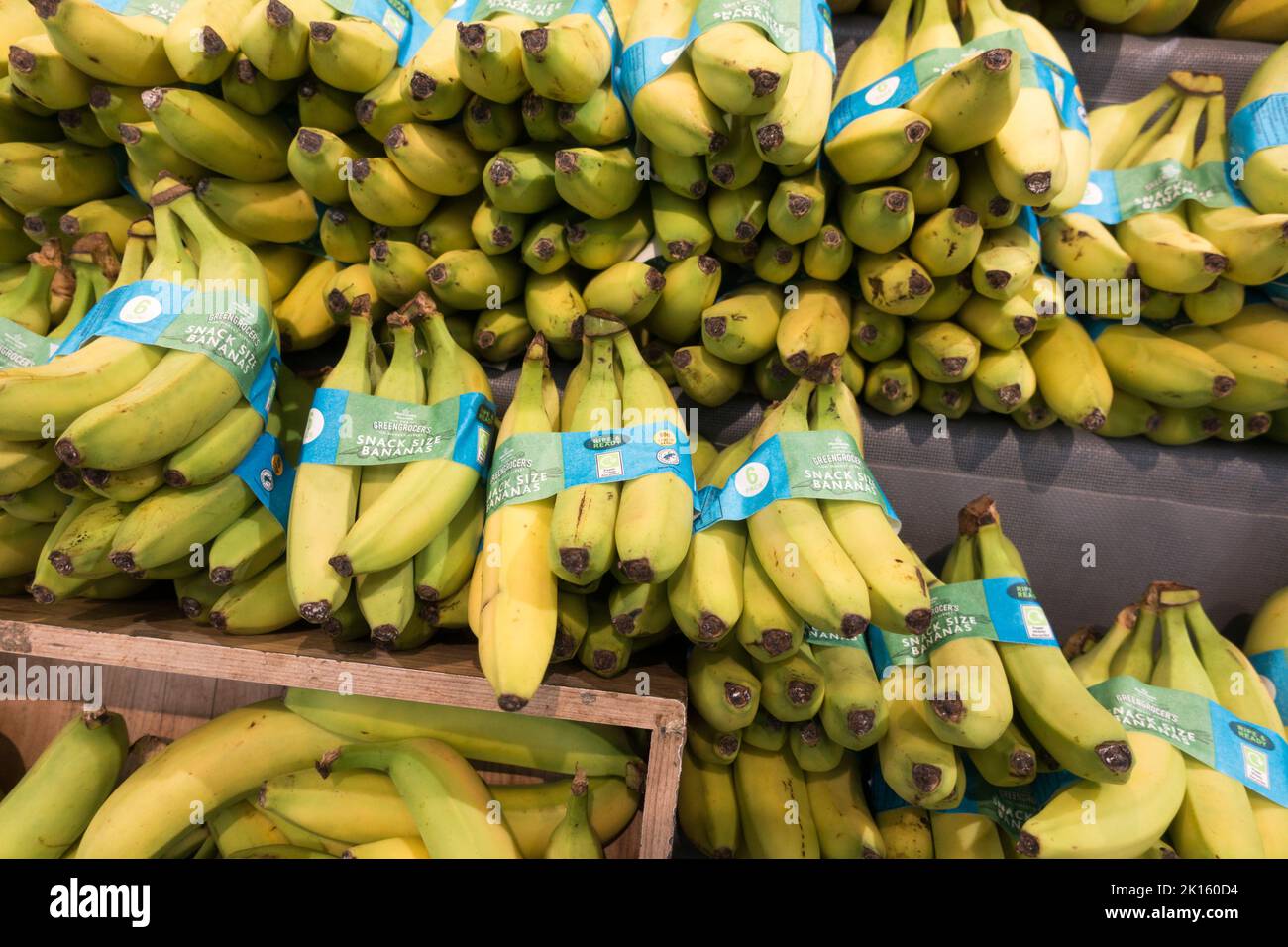 Reife und fertige Supermarket-Bananen ohne Plastikverpackung Stockfoto