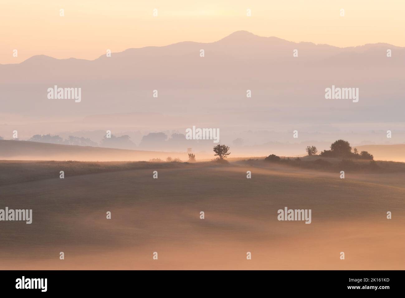 Morgennebel auf den Feldern im Dorf Ondrasova, Slowakei. Stockfoto