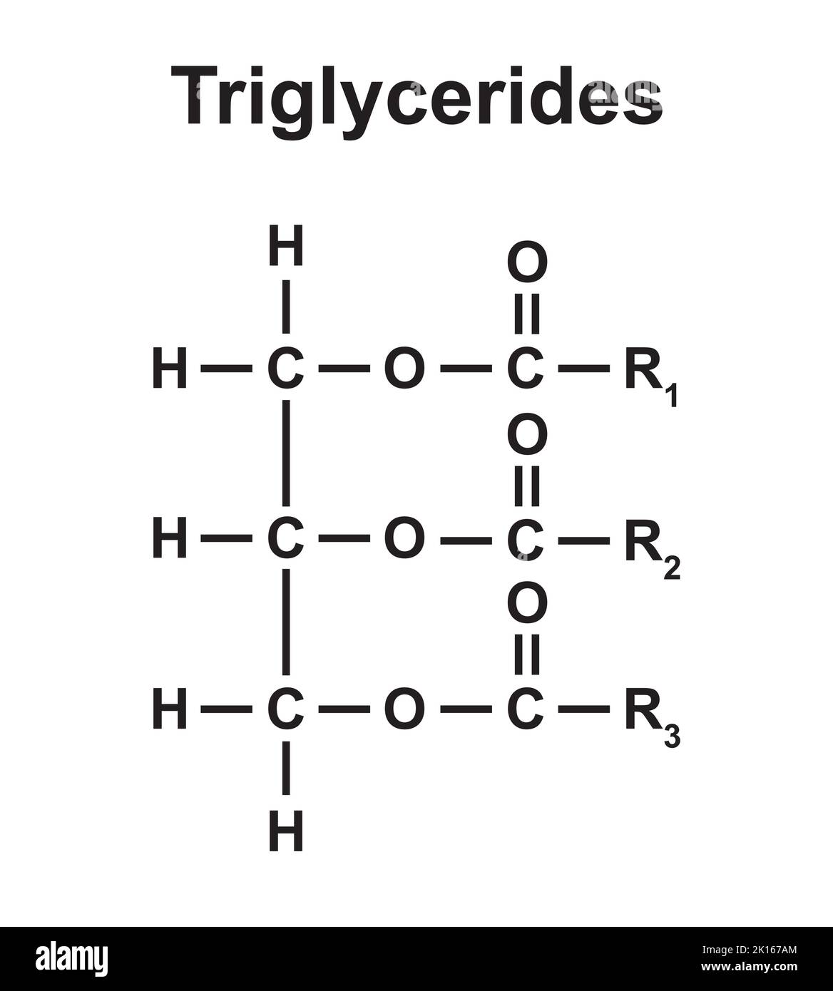 Chemische Struktur von Triglyceriden. Vektorgrafik. Stock Vektor