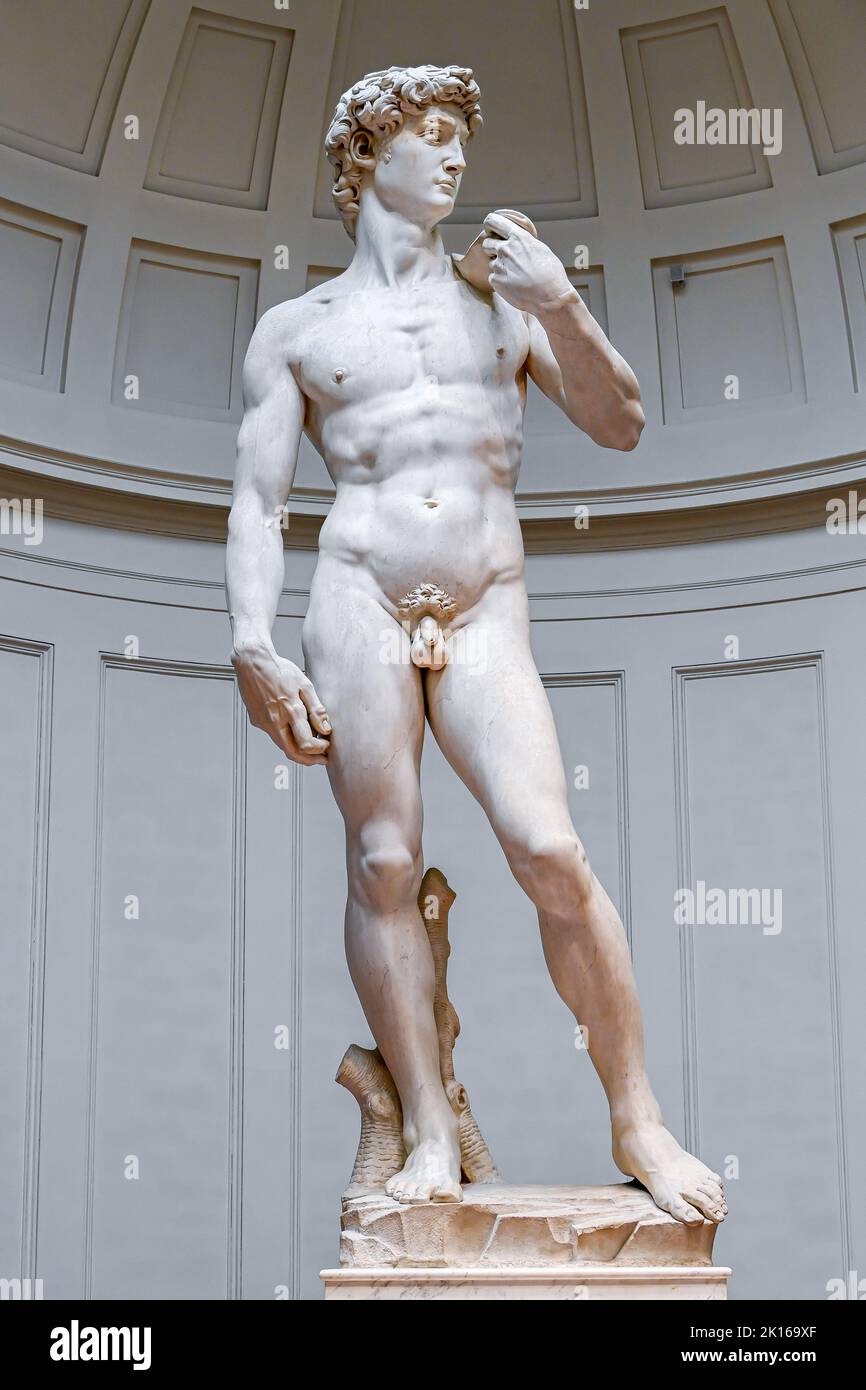 Statue von David Michelangelo berühmte Marmorskulptur in der Firenze Galleria Dell Accademia - Florenz Tourismus und Besichtigung - Michelangelos David Stockfoto