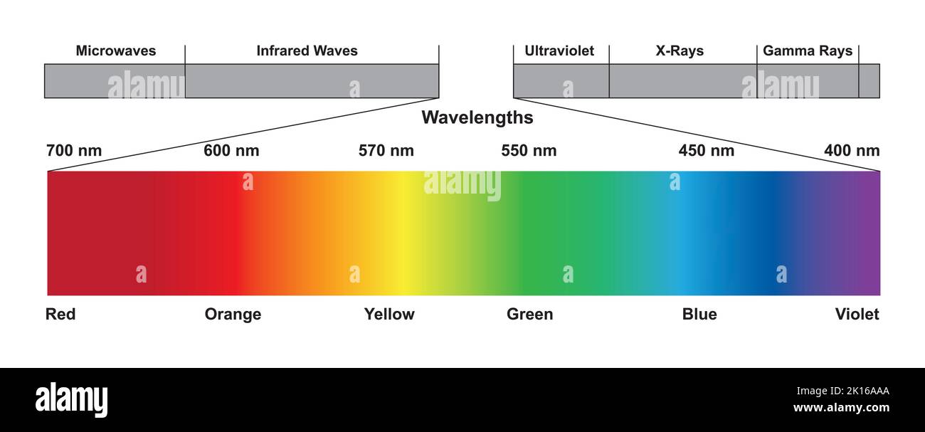 Wissenschaftliche Gestaltung des Spektrums elektromagnetischer Wellen. Das Lichtspektrum. Bunte Symbole. Vektorgrafik. Stock Vektor