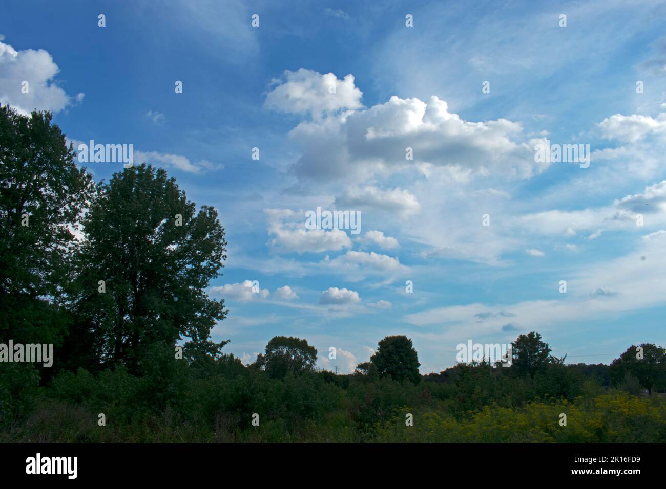 Wunderschöne Cumulus- und Zirruswolken gegen einen tiefblauen Himmel, Blick über die Parklandschaft im Davidson's Mill Pond Park in East Brunswick, New Jersey, USA -02 Stockfoto