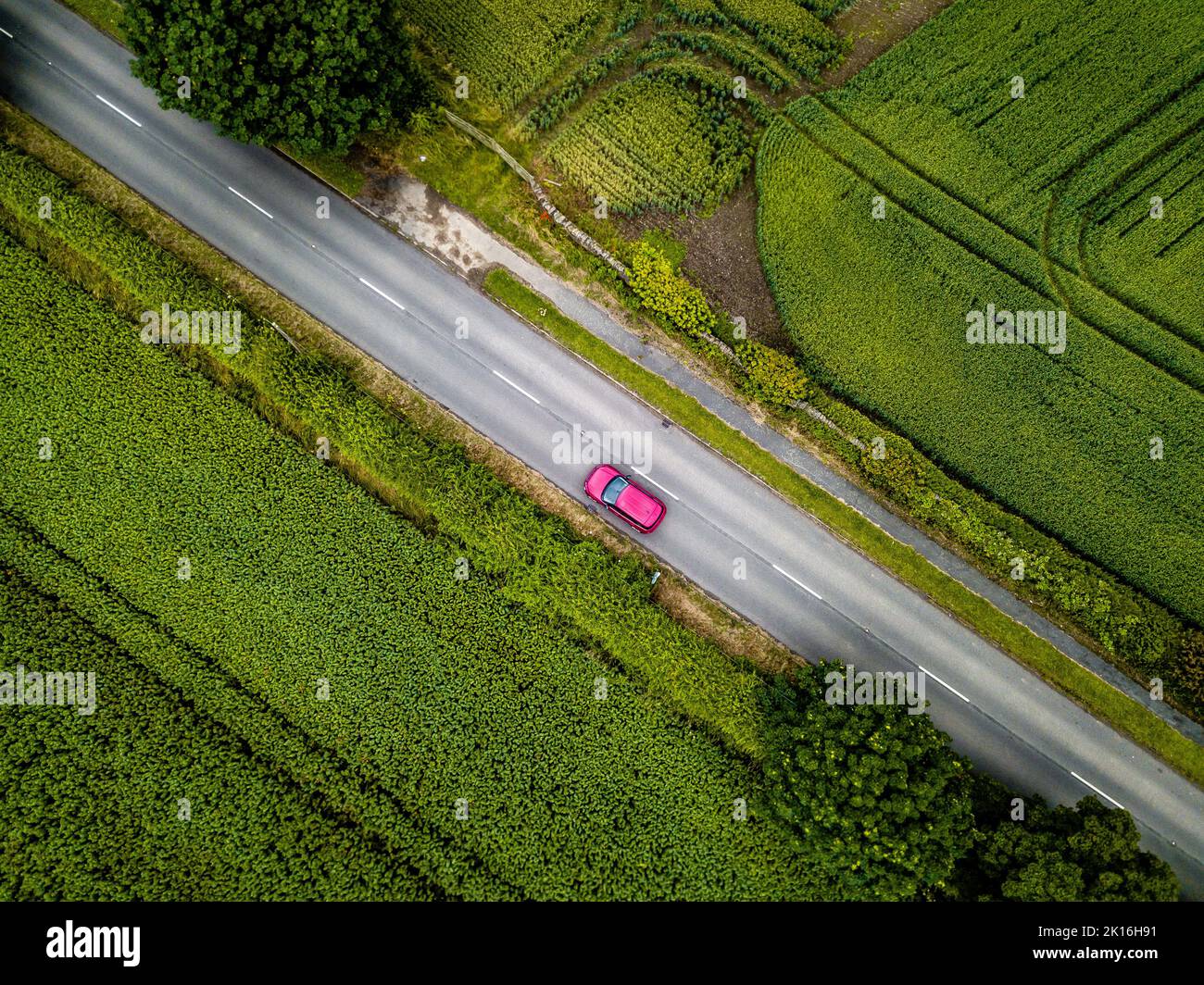 Fahren auf einer Landstraße Stockfoto