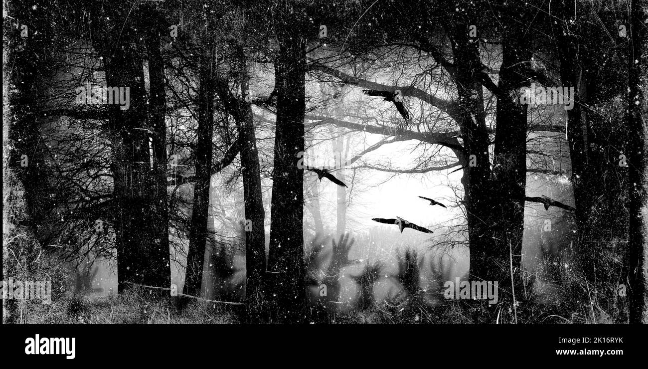 Gruseliger Wald mit fliegenden Vögeln, toten Bäumen, Spinnweben und Silhouetten von Zombies Händen. Halloween-Party. Alte Papierstruktur. Gothic-Design Stockfoto