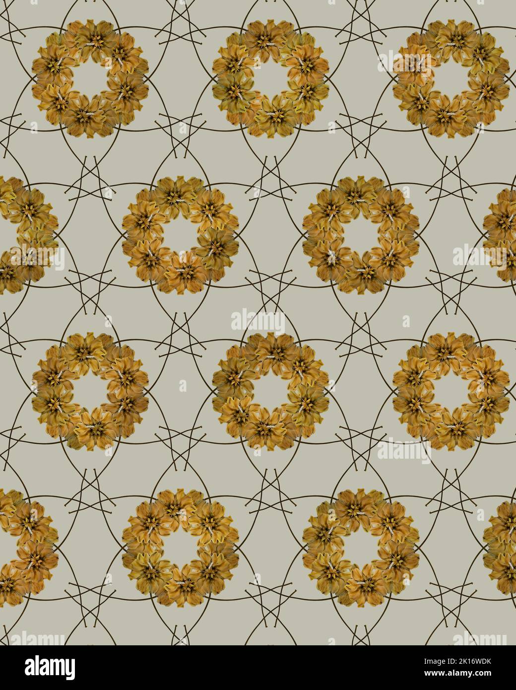 Muster aus getrockneten gepressten Blumen beige Hintergrund. Botanische Elemente für Scrapbooking oder Dekorationskunst Stockfoto