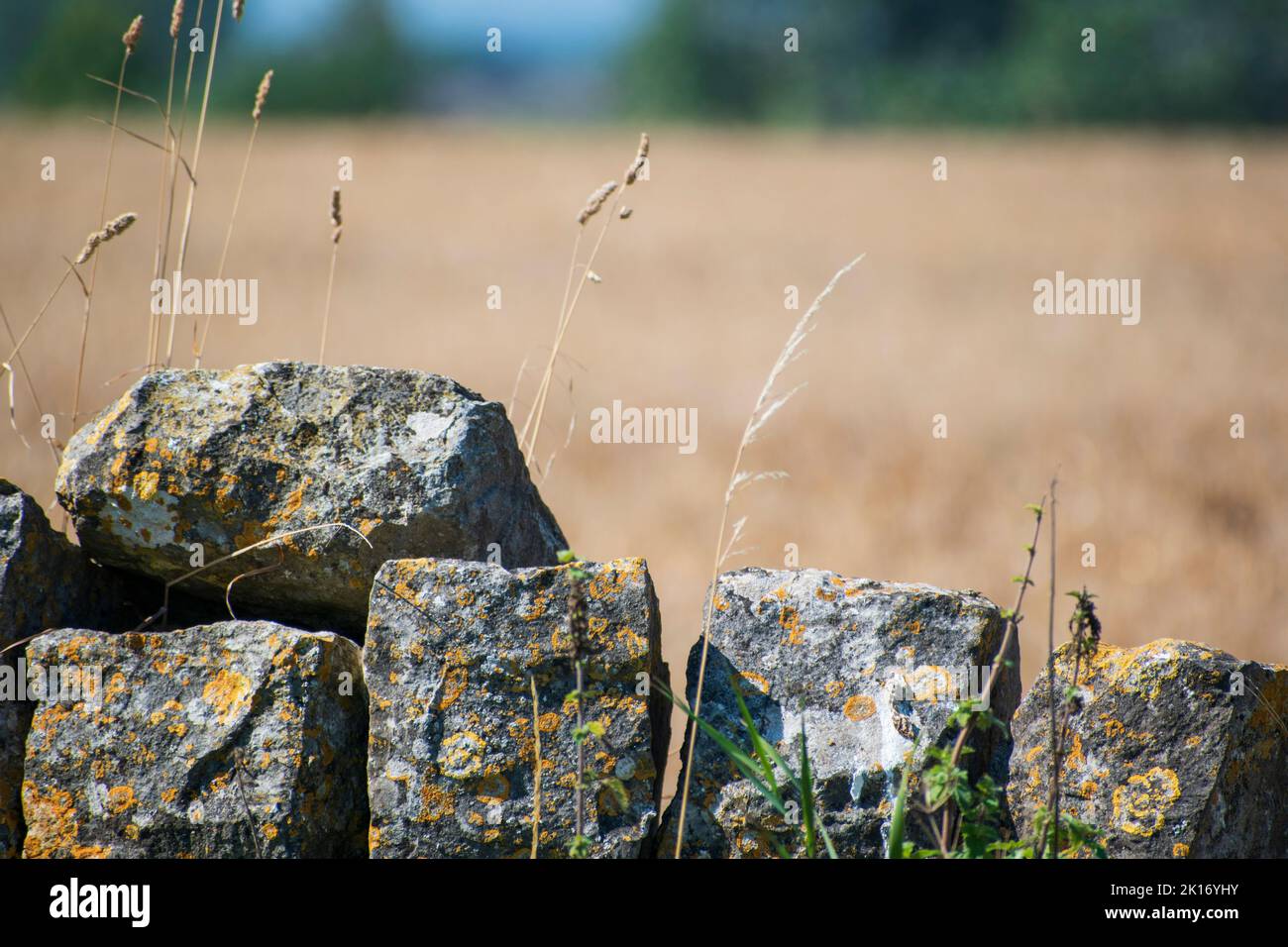 Land Trockensteinmauer Stockfoto