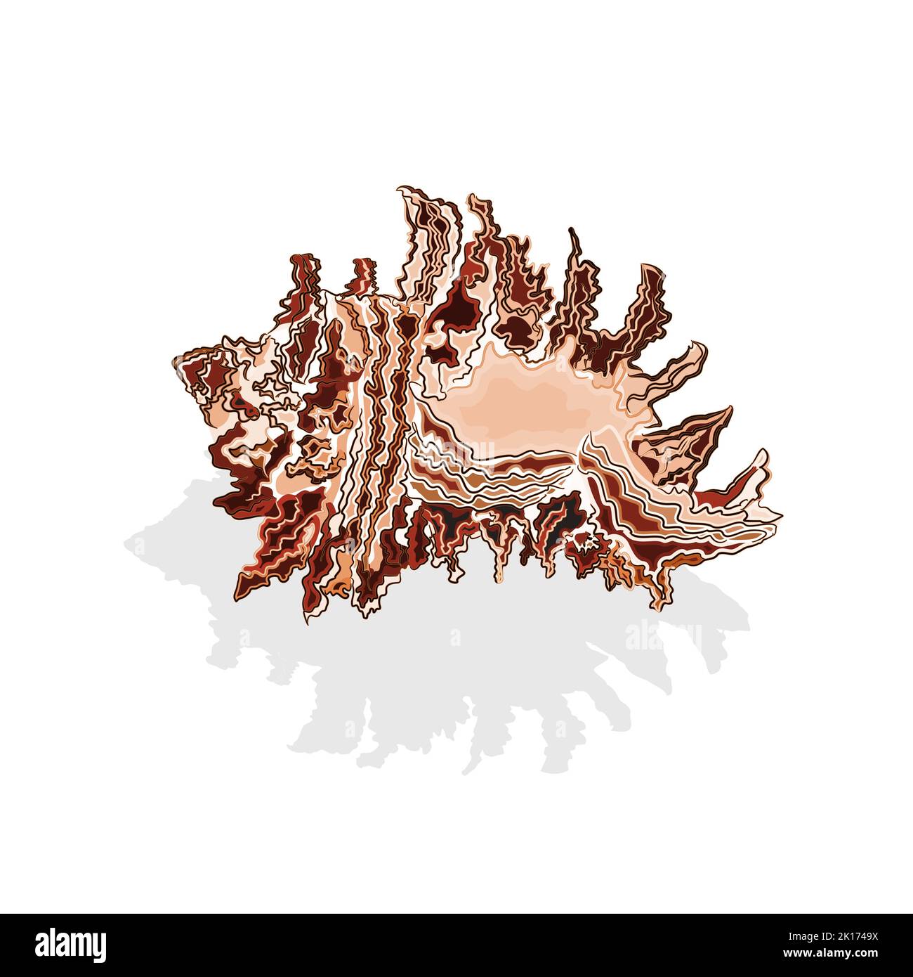 Meeresmuscheln braun und weiß Vektor Stock Vektor