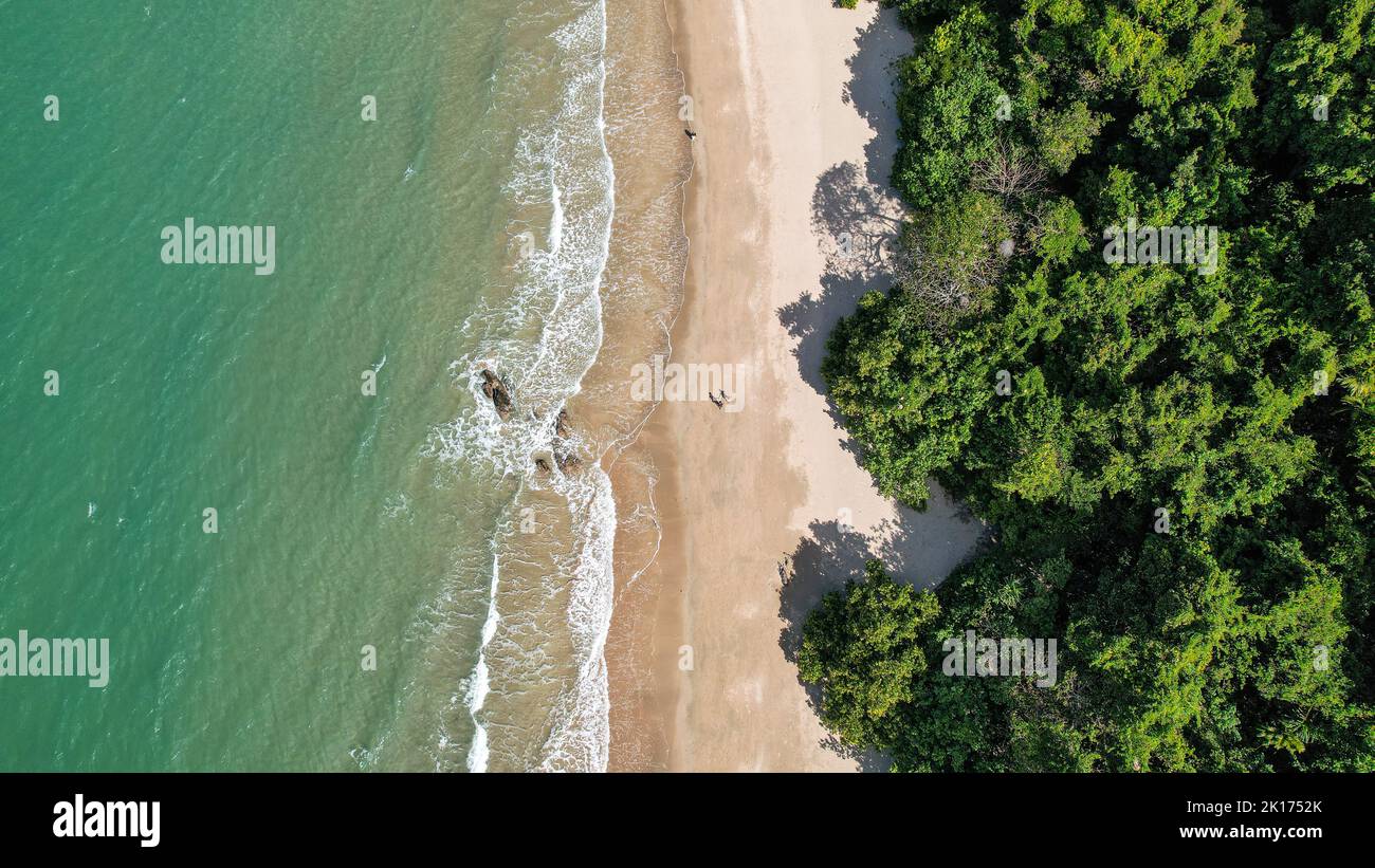 Drohnenfotografie von Etty Bay in Queensland Australien. Üppig grüner Dschungel trifft auf den wunderschönen weißen Sand und das blaue Meer. Stockfoto