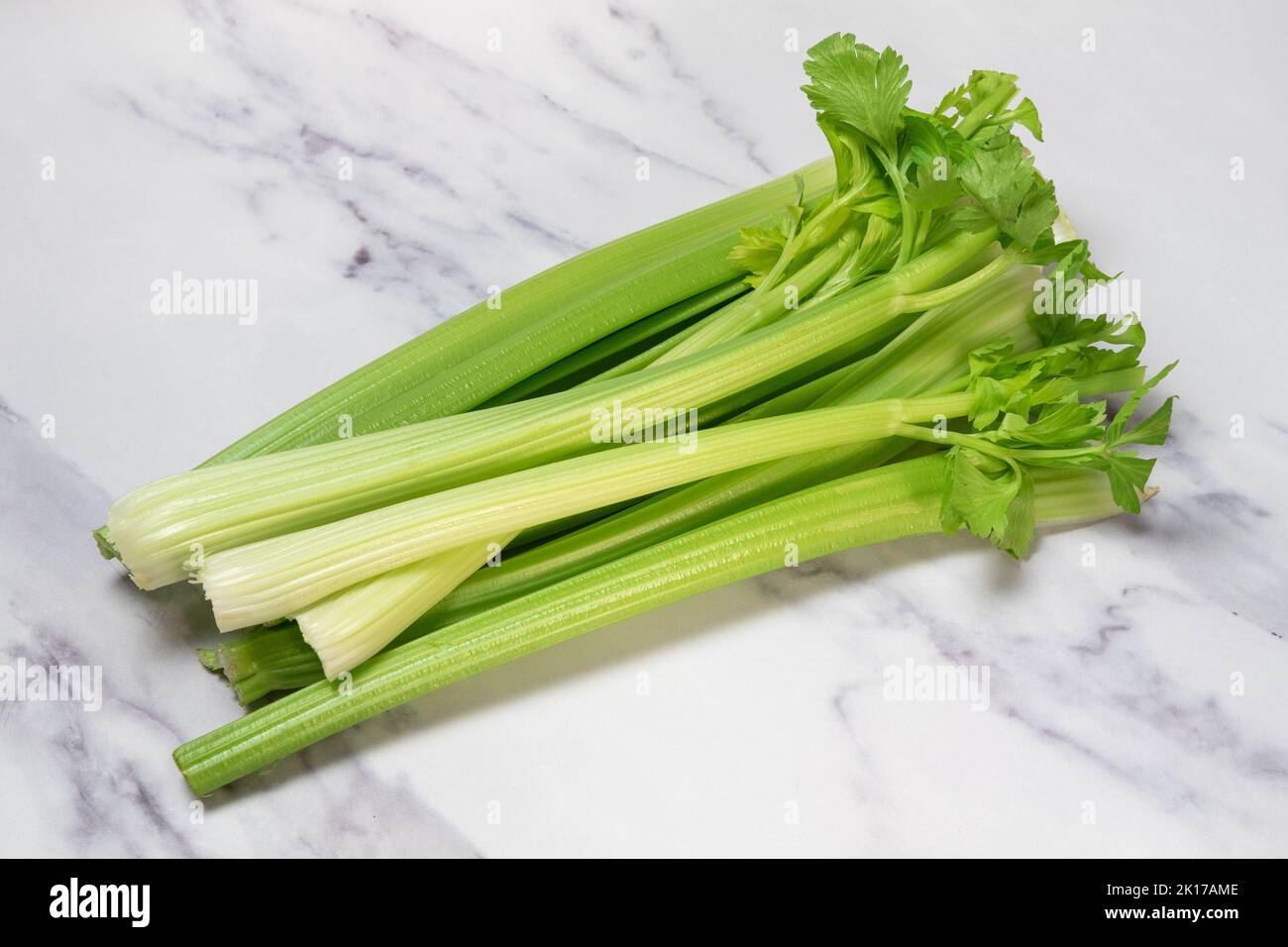 Sellerie grün -Fotos und -Bildmaterial in hoher Auflösung – Alamy
