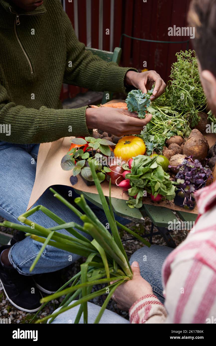 Hohe Winkelansicht der Hände, die Kräuter halten Stockfoto