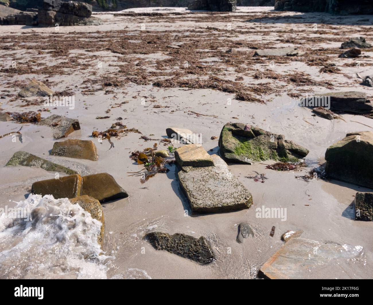 Stein- und Sandstrand voller Algen. Stockfoto