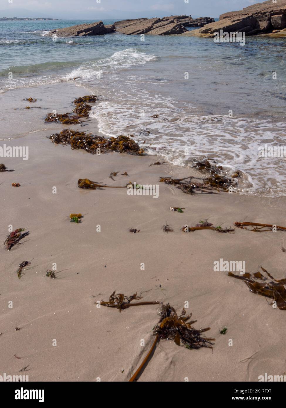 Wellen, die an einer Strandküste mit Algen bremsen. Stockfoto