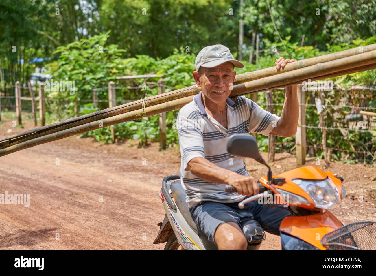 Ein Mann auf einem Motorrad auf einer Landstraße trägt Bambusstangen auf seiner Schulter. Stockfoto