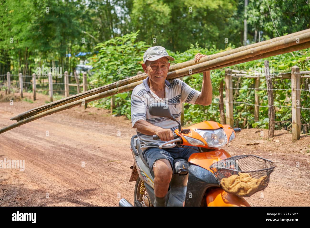 Ein Mann auf einem Motorrad auf einer Landstraße trägt Bambusstangen auf seiner Schulter. Stockfoto