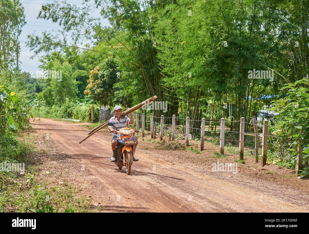 Ein Mann auf einem Motorrad auf einer Landstraße trägt Bambusstangen auf seiner Schulter. Stockfoto