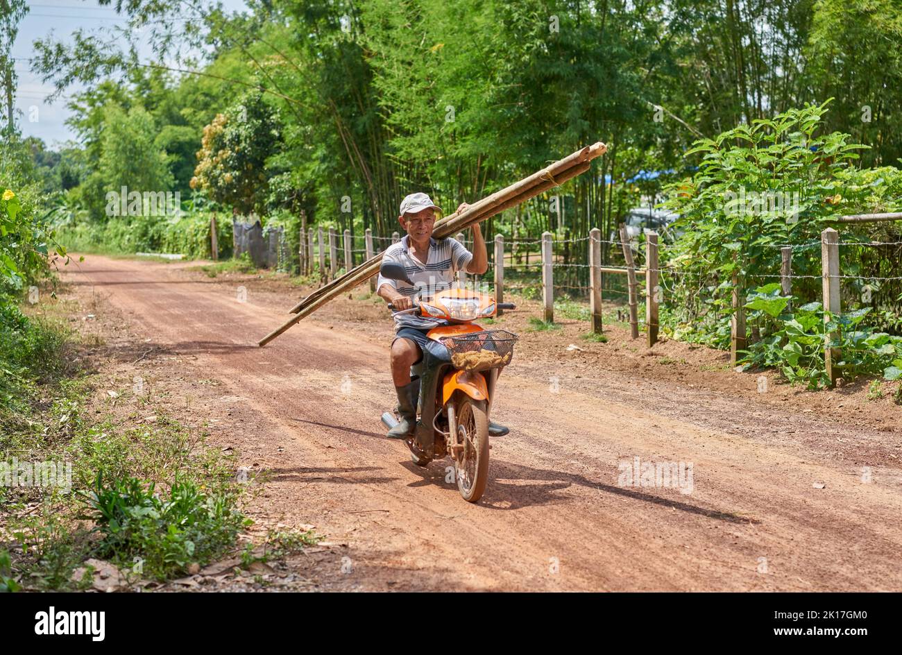 Ein Mann auf einem Motorrad auf einer Landstraße trägt Bambusstangen auf seiner Schulter. Stockfoto
