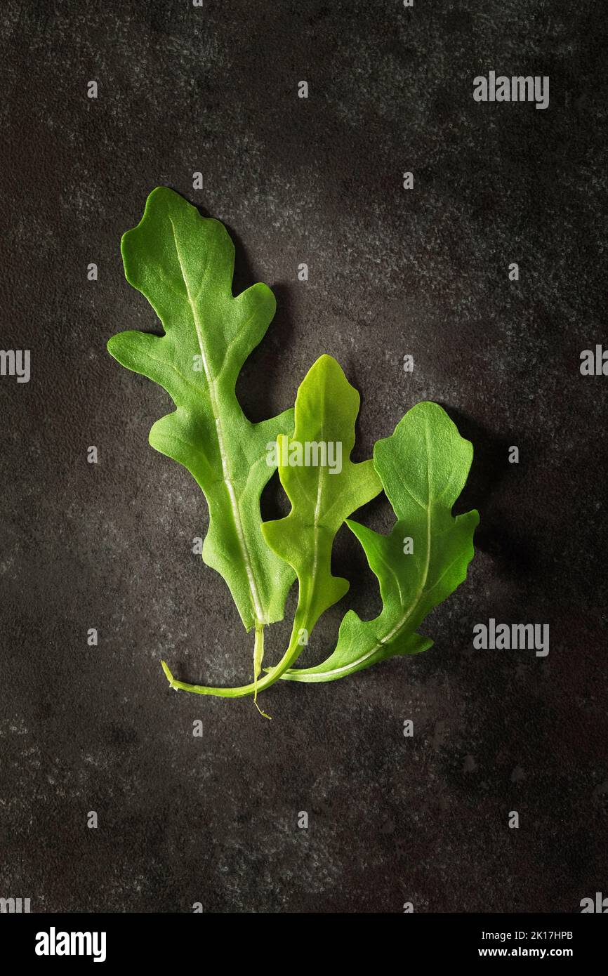 Rucola Salatblätter von oben auf dunklem Hintergrund geschossen Stockfoto