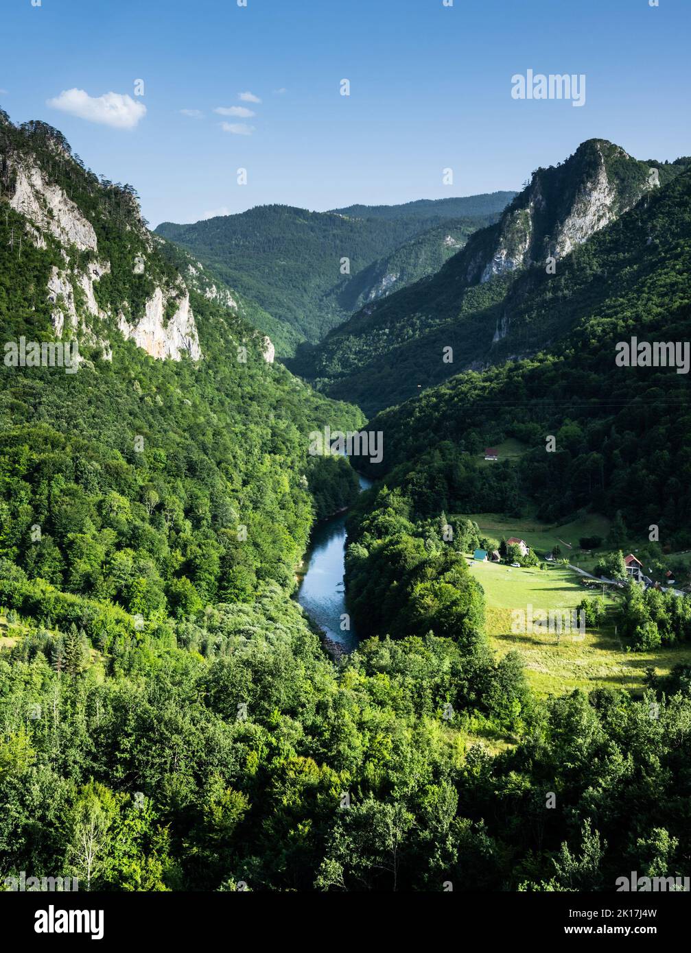 Fluss in den Bergen von Montenegro Stockfoto