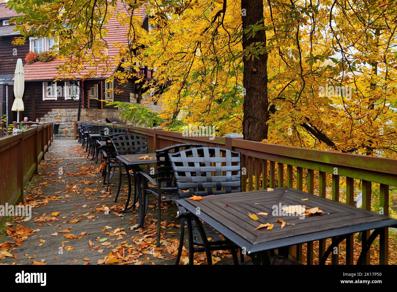 Herbst in der Sächsischen Schweiz bei Dresden, Deutschland Stockfoto