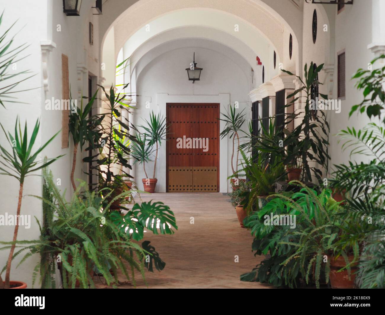 Innenansicht des typisch andalusischen Patio mit Pflanzen in Sevilla Stockfoto