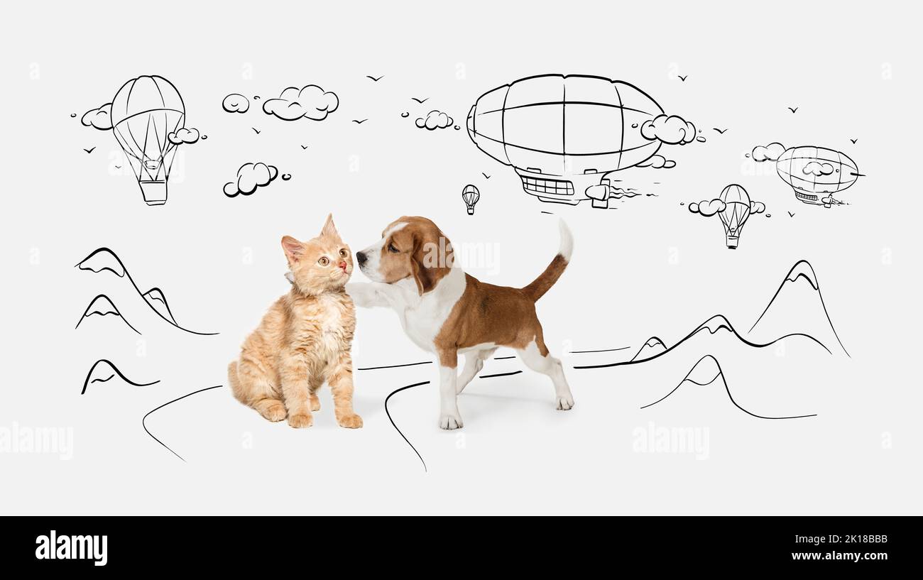 Niedlicher kleiner Hund von Beagle und Katze auf weißem Hintergrund mit Kritzeleien. Freunde. Stockfoto