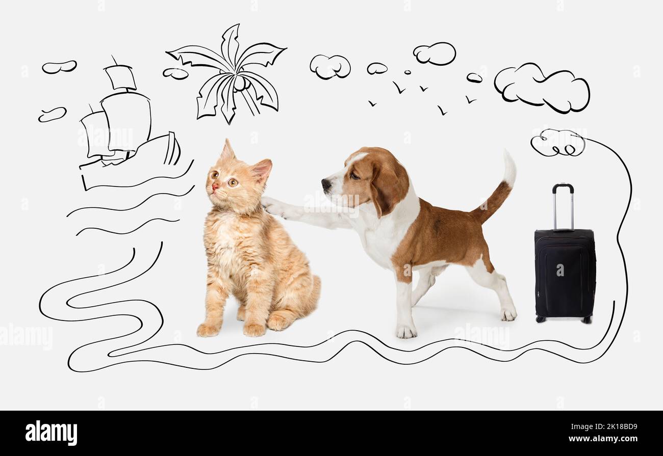 Niedlicher kleiner Hund von Beagle und Katze auf weißem Hintergrund mit Kritzeleien. Freunde. Stockfoto