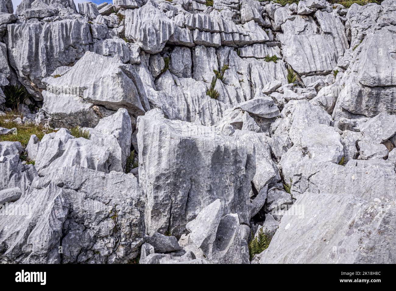 Blick auf Felsbrocken entlang des Weges zum Loser Gipfel, die aussehen, als seien sie bearbeitet worden, aber eigentlich natürlich, Ausseerland, Steiermark, Österreich Stockfoto