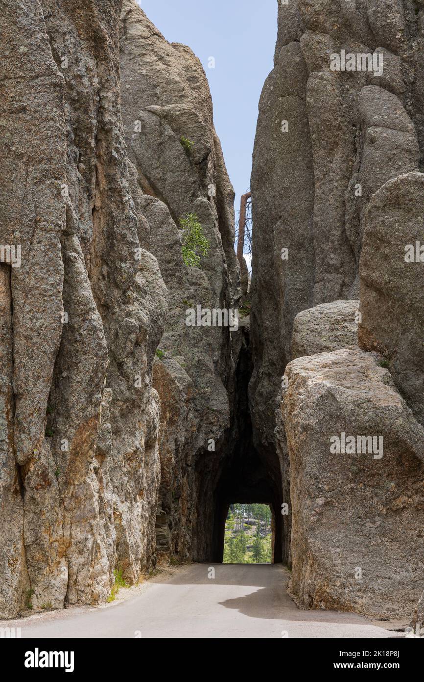 Der Needles Eye Tunnel wurde im Custer State Park, South Dakota, USA, durch feste Felsen gehauen Stockfoto