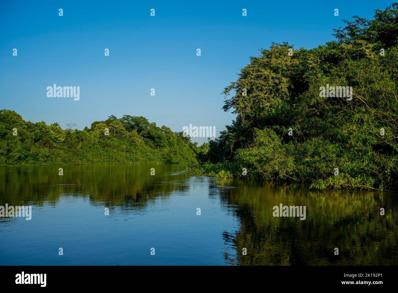 Der Aquidauana Fluss in der Nähe der Aguape Lodge im südlichen Pantanal, Mato Grosso do Sul, Brasilien. Stockfoto